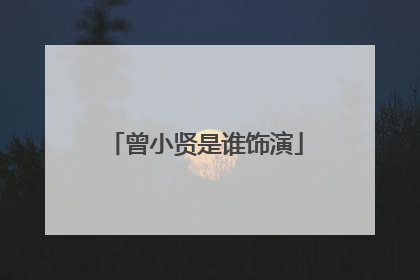 曾小贤是谁饰演