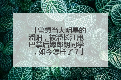 曾想当大明星的潘阳,被潘长江甩巴掌后嫁郎朗同学,如今怎样了?