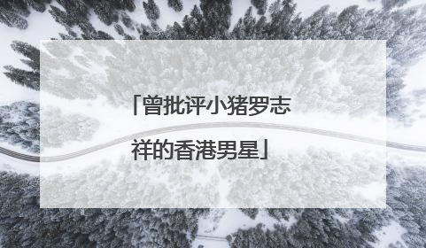 曾批评小猪罗志祥的香港男星