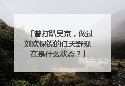 曾打趴吴京，做过刘欢保镖的任天野现在是什么状态？