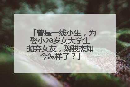 曾是一线小生，为娶小20岁女大学生抛弃女友，魏骏杰如今怎样了？