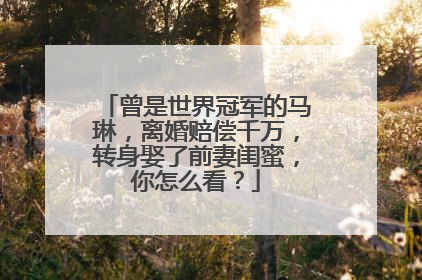 曾是世界冠军的马琳,离婚赔偿千万,转身娶了前妻闺蜜,你怎么看?