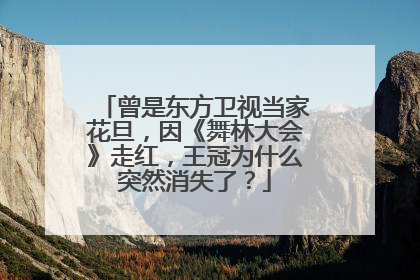 曾是东方卫视当家花旦,因《舞林大会》走红,王冠为什么突然消失了?
