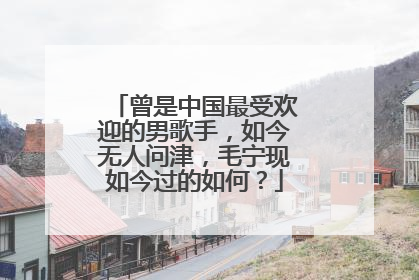 曾是中国最受欢迎的男歌手,如今无人问津,毛宁现如今过的如何?