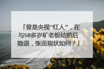 曾是央视“红人”，在与50多岁矿老板结婚后隐退，张蕾现状如何？