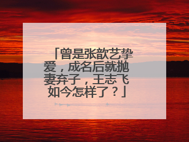 曾是张歆艺挚爱,成名后就抛妻弃子,王志飞如今怎样了?