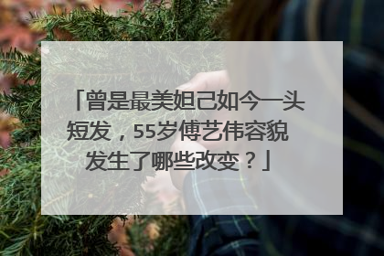 曾是最美妲己如今一头短发,55岁傅艺伟容貌发生了哪些改变?