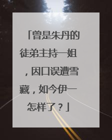 曾是朱丹的徒弟主持一姐,因口误遭雪藏,如今伊一怎样了?