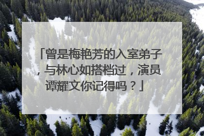 曾是梅艳芳的入室弟子,与林心如搭档过,演员谭耀文你记得吗?