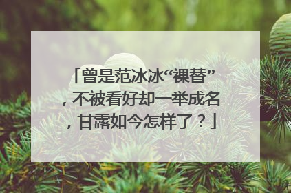 曾是范冰冰“裸替”,不被看好却一举成名,甘露如今怎样了?