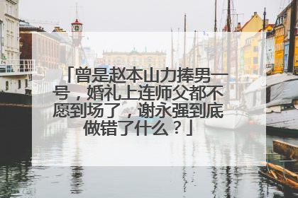 曾是赵本山力捧男一号，婚礼上连师父都不愿到场了，谢永强到底做错了什么？