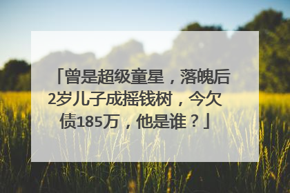 曾是超级童星,落魄后2岁儿子成摇钱树,今欠债185万,他是谁?