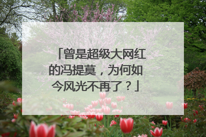 曾是超级大网红的冯提莫，为何如今风光不再了？