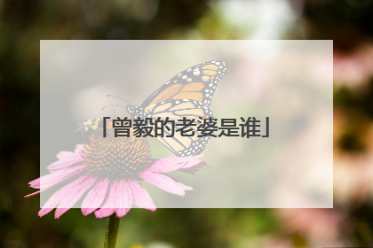 曾毅的老婆是谁