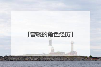 曾毓的角色经历