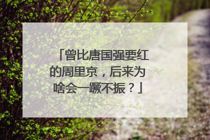 曾比唐国强要红的周里京,后来为啥会一蹶不振?