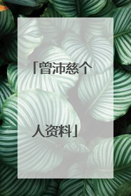 曾沛慈个人资料