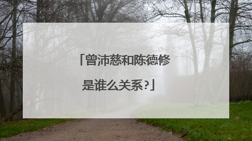 曾沛慈和陈德修是谁么关系?