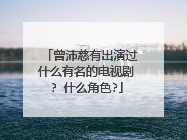 曾沛慈有出演过什么有名的电视剧? 什么角色?