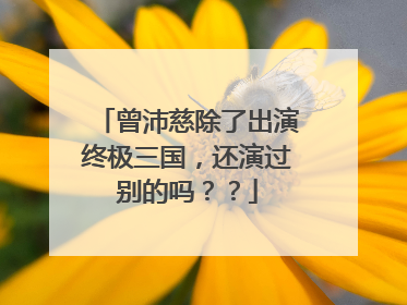 曾沛慈除了出演终极三国,还演过别的吗??