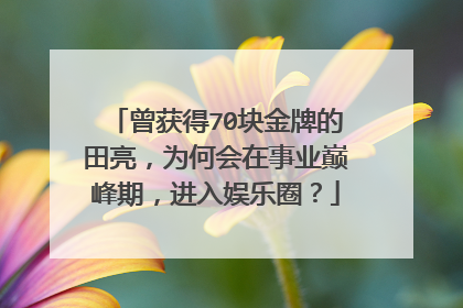 曾获得70块金牌的田亮,为何会在事业巅峰期,进入娱乐圈?