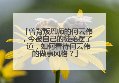 曾背叛恩师的何云伟，今被自己的徒弟摆了一道，如何看待何云伟的做事风格？