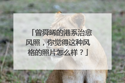 曾舜晞的港系治愈风照,你觉得这种风格的照片怎么样?