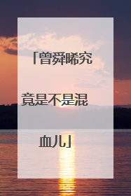 曾舜晞究竟是不是混血儿