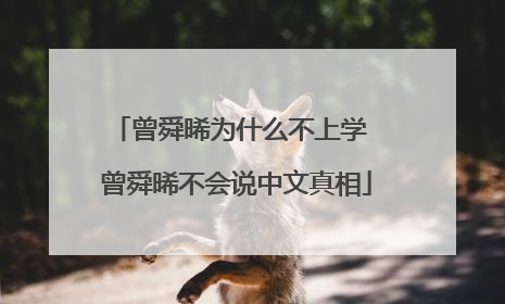 曾舜晞为什么不上学 曾舜晞不会说中文真相