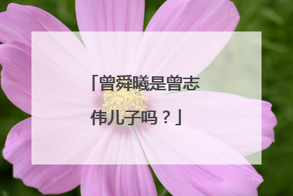 曾舜曦是曾志伟儿子吗?