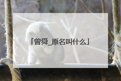 曾舜_原名叫什么