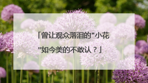 曾让观众落泪的