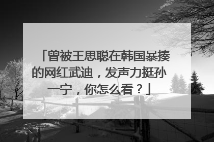 曾被王思聪在韩国暴揍的网红武迪，发声力挺孙一宁，你怎么看？