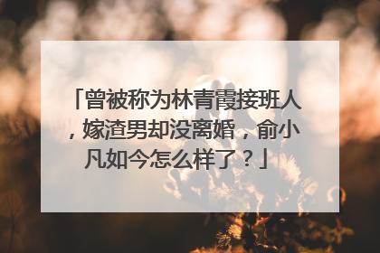 曾被称为林青霞接班人,嫁渣男却没离婚,俞小凡如今怎么样了?