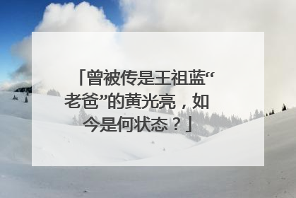 曾被传是王祖蓝“老爸”的黄光亮,如今是何状态?