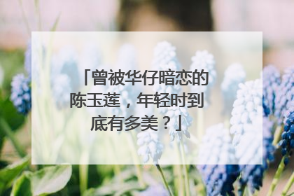 曾被华仔暗恋的陈玉莲,年轻时到底有多美?