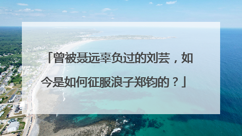 曾被聂远辜负过的刘芸,如今是如何征服浪子郑钧的?