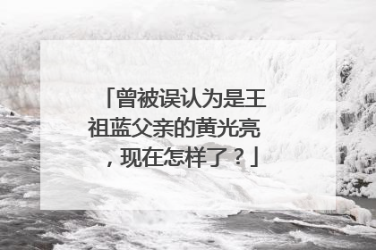 曾被误认为是王祖蓝父亲的黄光亮,现在怎样了?