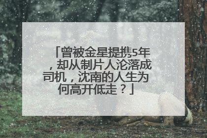 曾被金星提携5年，却从制片人沦落成司机，沈南的人生为何高开低走？
