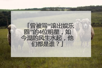 曾被骂“滚出娱乐圈”的4位明星,如今混的风生水起,他们都是谁?