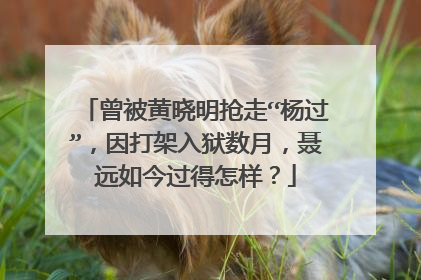 曾被黄晓明抢走“杨过”,因打架入狱数月,聂远如今过得怎样?
