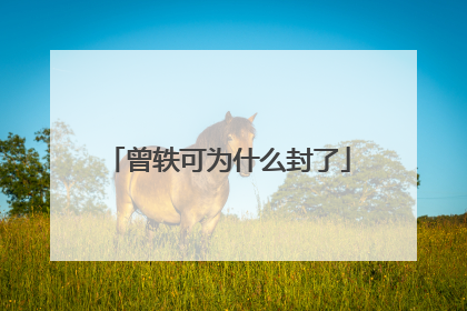 曾轶可为什么封了