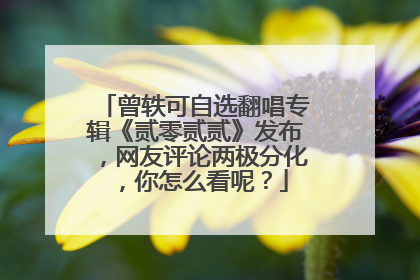 曾轶可自选翻唱专辑《贰零贰贰》发布，网友评论两极分化，你怎么看呢？