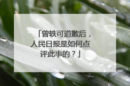 曾轶可道歉后,人民日报是如何点评此事的?