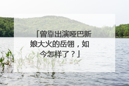 曾靠出演哑巴新娘大火的岳翎，如今怎样了？