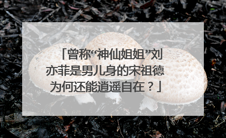 曾称“神仙姐姐”刘亦菲是男儿身的宋祖德为何还能逍遥自在？