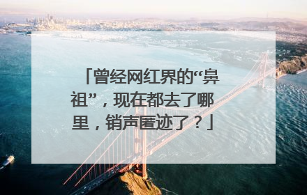 曾经网红界的“鼻祖”，现在都去了哪里，销声匿迹了？