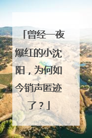 曾经一夜爆红的小沈阳,为何如今销声匿迹了?