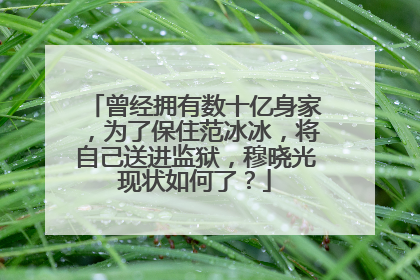 曾经拥有数十亿身家，为了保住范冰冰，将自己送进监狱，穆晓光现状如何了？