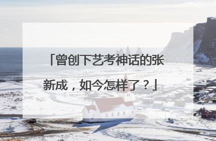 曾创下艺考神话的张新成，如今怎样了？